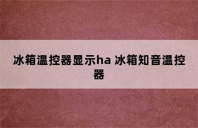 冰箱温控器显示ha 冰箱知音温控器